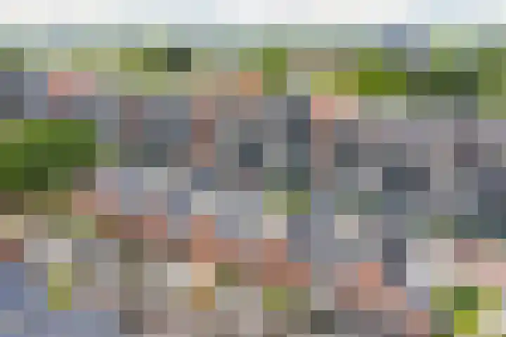 1e Melmseweg 26 Veenendaal thumbnail 30