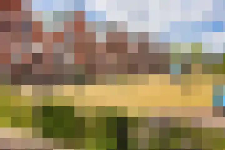 1e Melmseweg 26 Veenendaal thumbnail 31