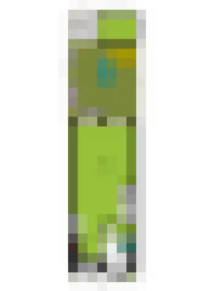 1e Melmseweg 26 Veenendaal thumbnail 35