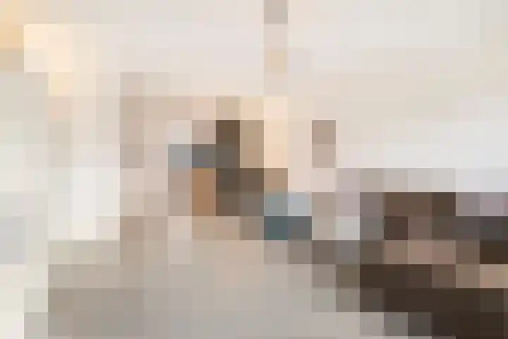 1e Melmseweg 26 Veenendaal thumbnail 9