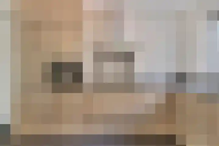 1e Melmseweg 28 Veenendaal thumbnail 10