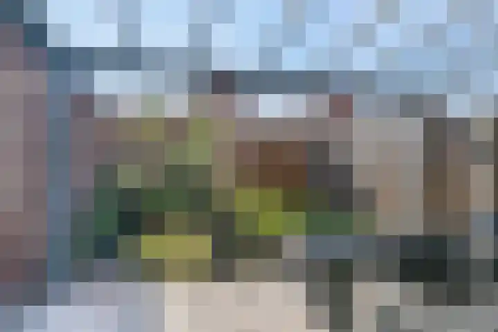 1e Melmseweg 28 Veenendaal thumbnail 31