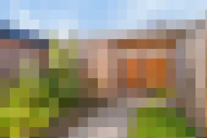 1e Melmseweg 28 Veenendaal thumbnail 33
