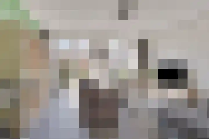 1e Melmseweg 28 Veenendaal thumbnail 4