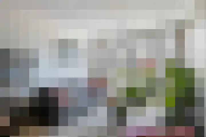 1e Melmseweg 3 Veenendaal thumbnail 11
