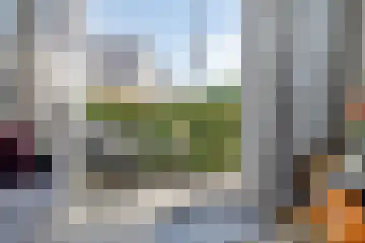 1e Melmseweg 3 Veenendaal thumbnail 12