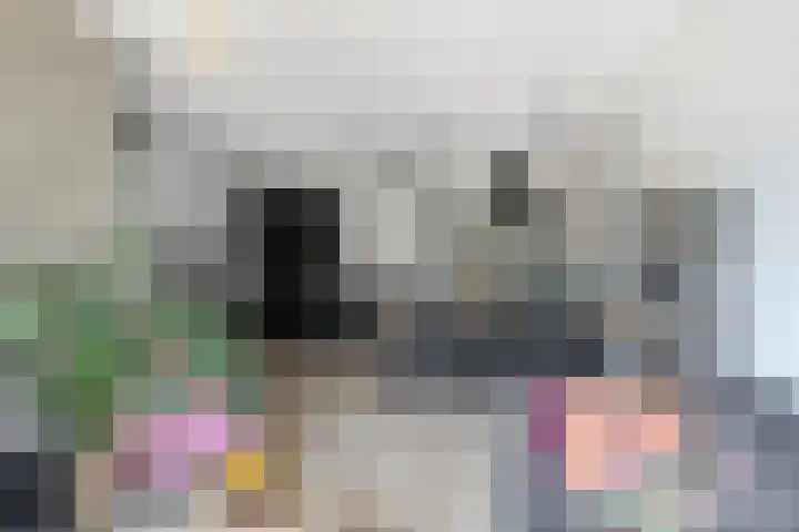 1e Melmseweg 3 Veenendaal thumbnail 14