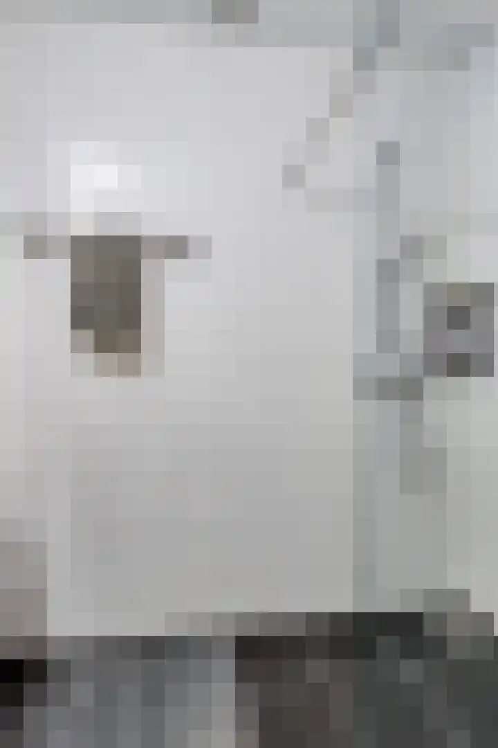 1e Melmseweg 3 Veenendaal thumbnail 22