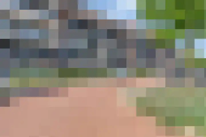 1e Melmseweg 3 Veenendaal thumbnail 23
