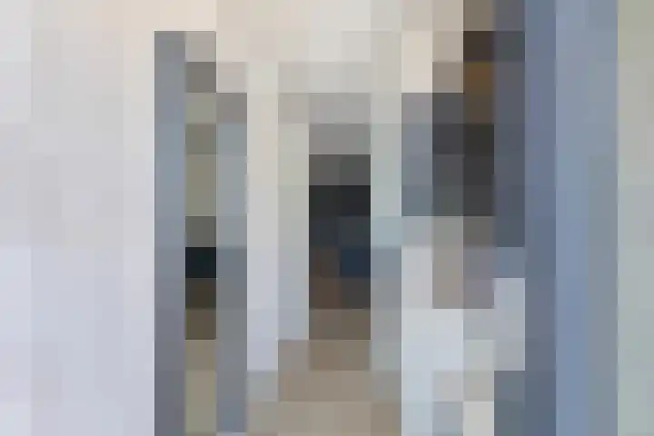 1e Melmseweg 3 Veenendaal thumbnail 6