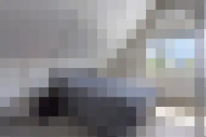 1e Melmseweg 30 Veenendaal thumbnail 11