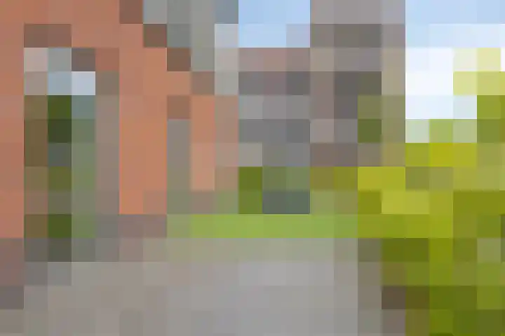 1e Melmseweg 30 Veenendaal thumbnail 23
