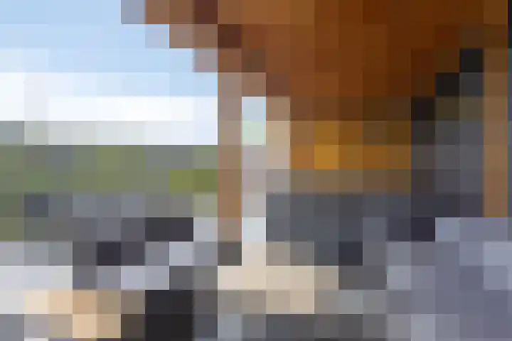 1e Melmseweg 30 Veenendaal thumbnail 4