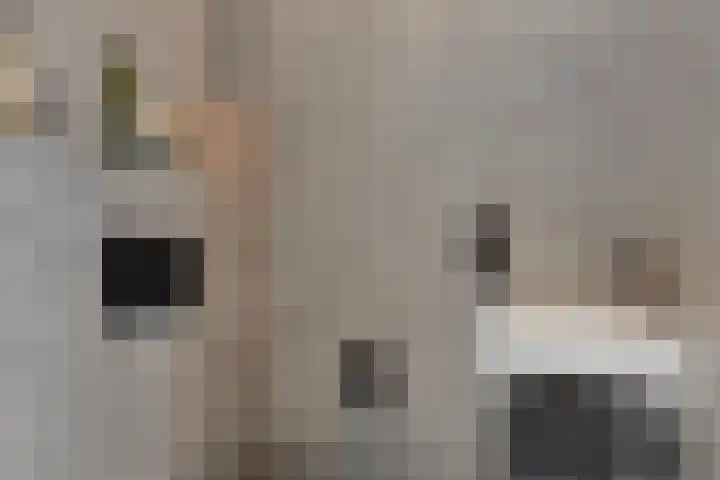 1e Melmseweg 30 Veenendaal thumbnail 7