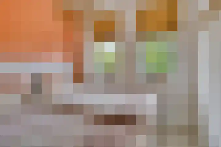 1e Melmseweg 39 Veenendaal thumbnail 14