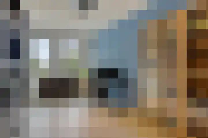 1e Melmseweg 39 Veenendaal thumbnail 16