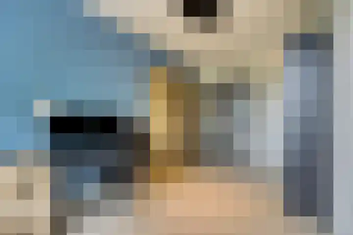 1e Melmseweg 39 Veenendaal thumbnail 17