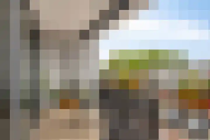 1e Melmseweg 39 Veenendaal thumbnail 20