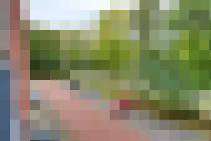 1e Melmseweg 39 Veenendaal thumbnail 23