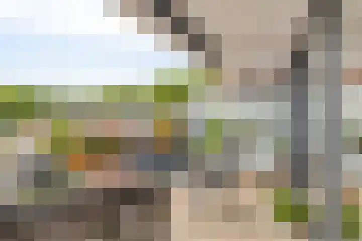1e Melmseweg 39 Veenendaal thumbnail 5