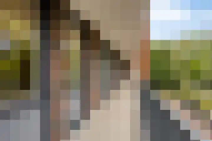 1e Melmseweg 39 Veenendaal thumbnail 7