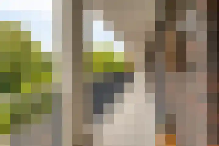 1e Melmseweg 39 Veenendaal thumbnail 8