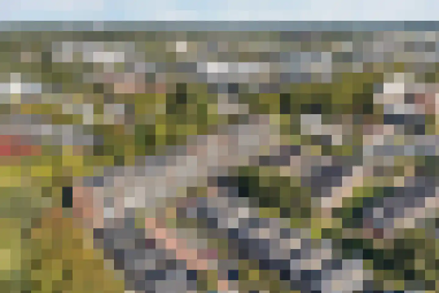 1e Melmseweg 81 Veenendaal thumbnail 34