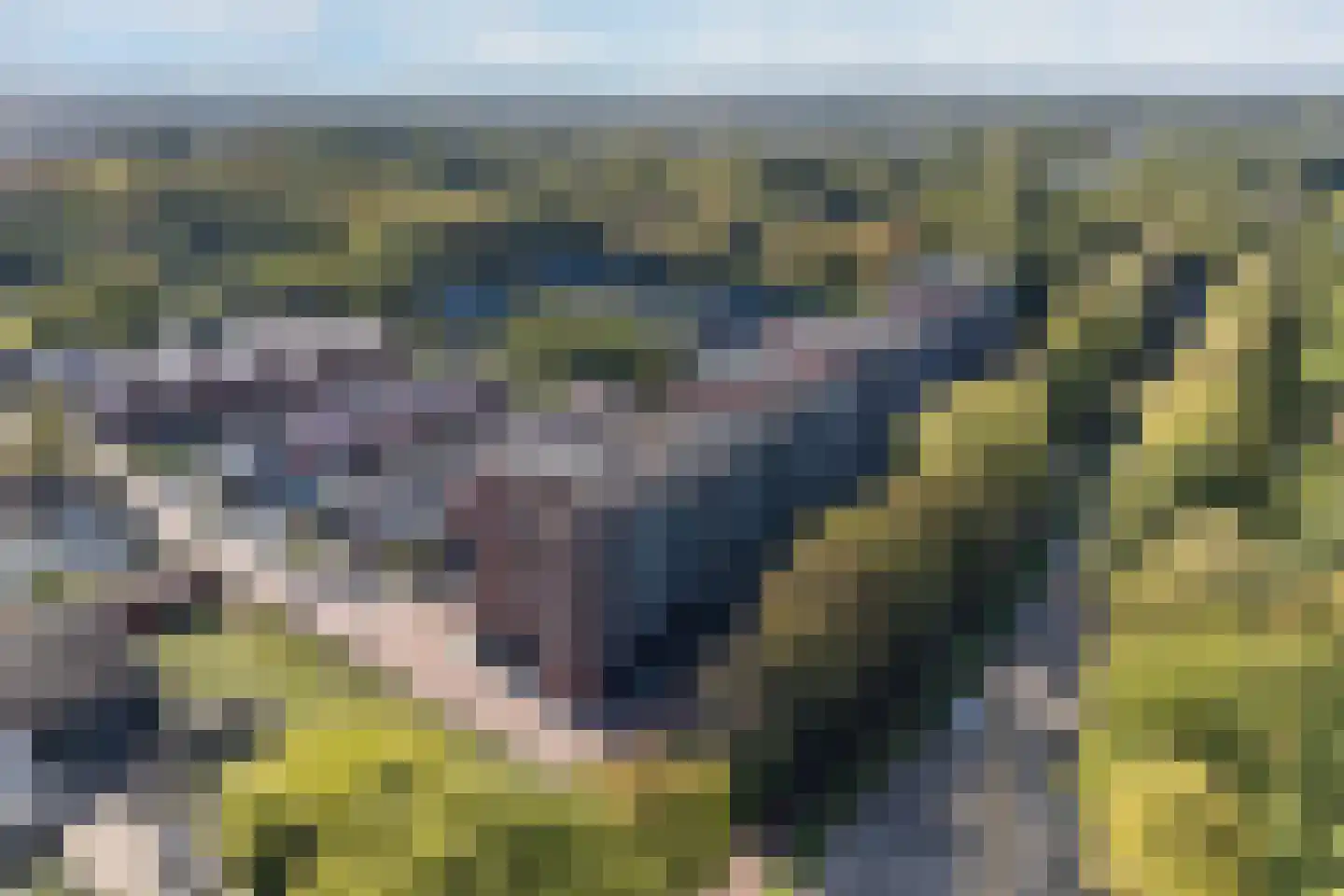 1e Melmseweg 81 Veenendaal thumbnail 37