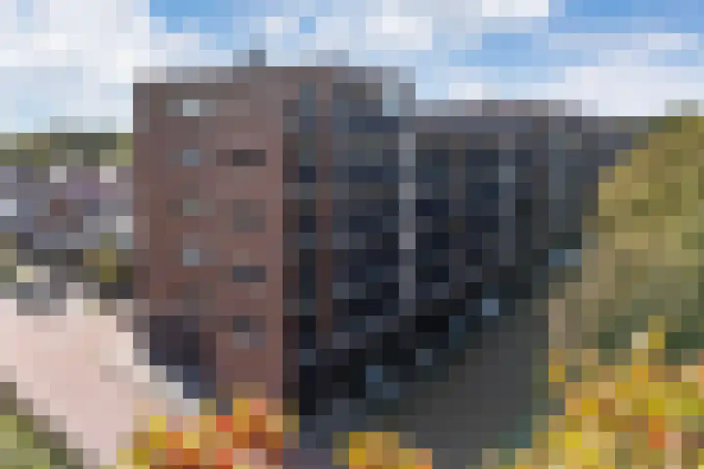 1e Melmseweg 81 Veenendaal thumbnail 38