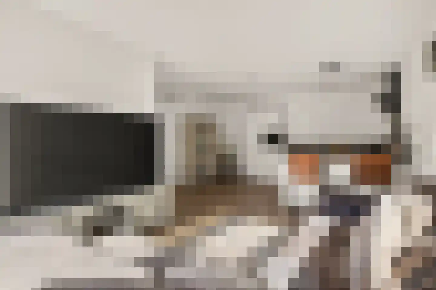 1e Melmseweg 81 Veenendaal thumbnail 7