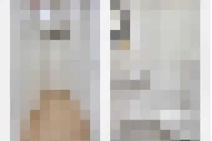 1e Melmseweg 83 Veenendaal thumbnail 12