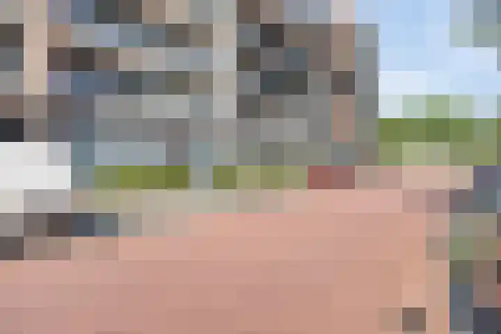 1e Melmseweg 83 Veenendaal thumbnail 19