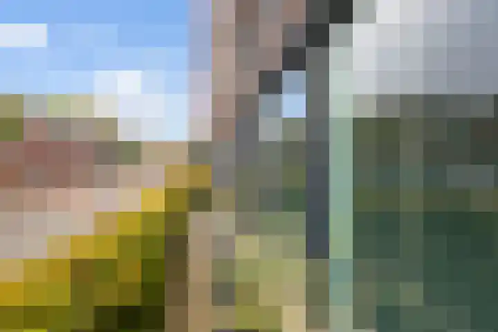 1e Melmseweg 85 Veenendaal thumbnail 25