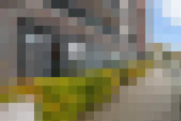 1e Melmseweg 85 Veenendaal thumbnail 26