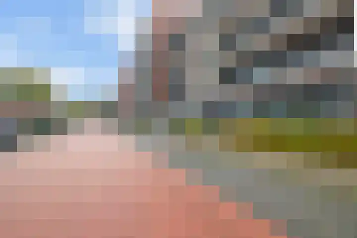 1e Melmseweg 85 Veenendaal thumbnail 27