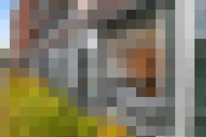 1e Melmseweg 85 Veenendaal thumbnail 8