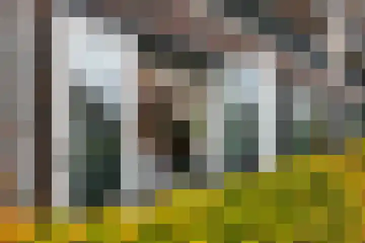 1e Melmseweg 85 Veenendaal thumbnail 9