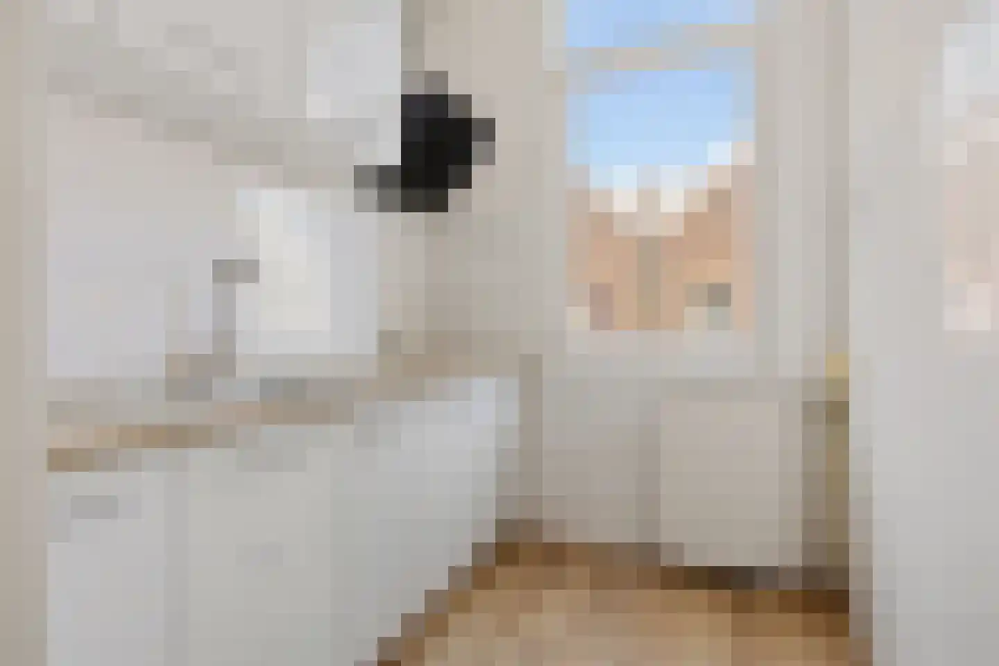 1e Middellandstraat 33 B Rotterdam thumbnail 16