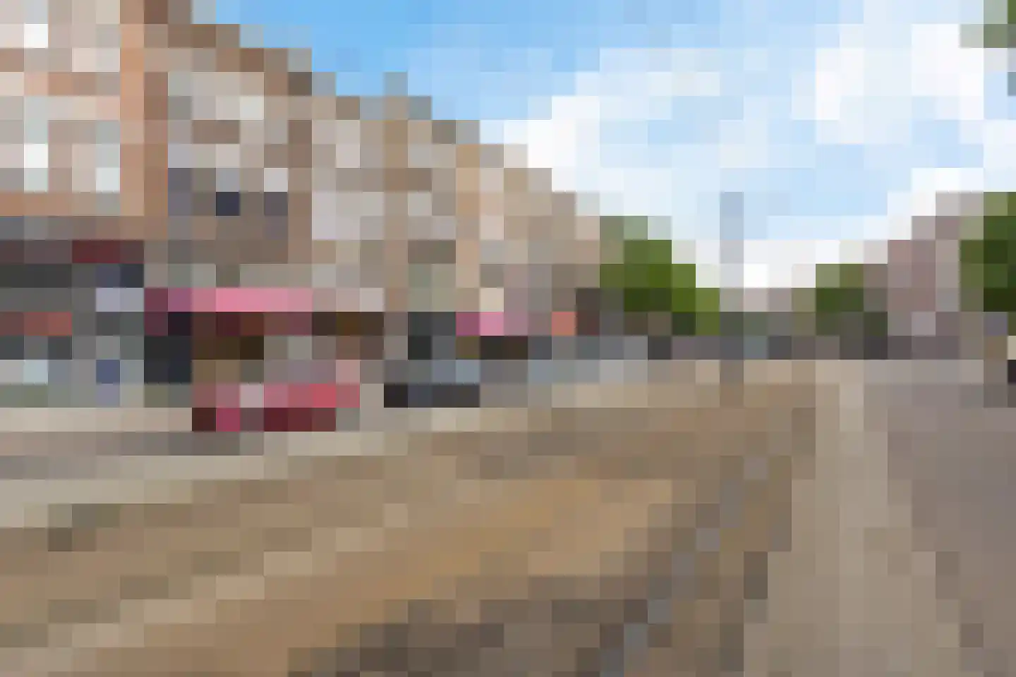 1e Middellandstraat 33 C Rotterdam thumbnail 5