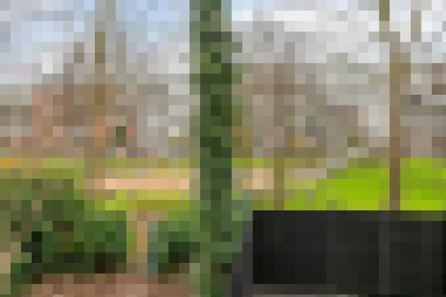 1e Middellandstraat 59 B 02 Rotterdam thumbnail 35