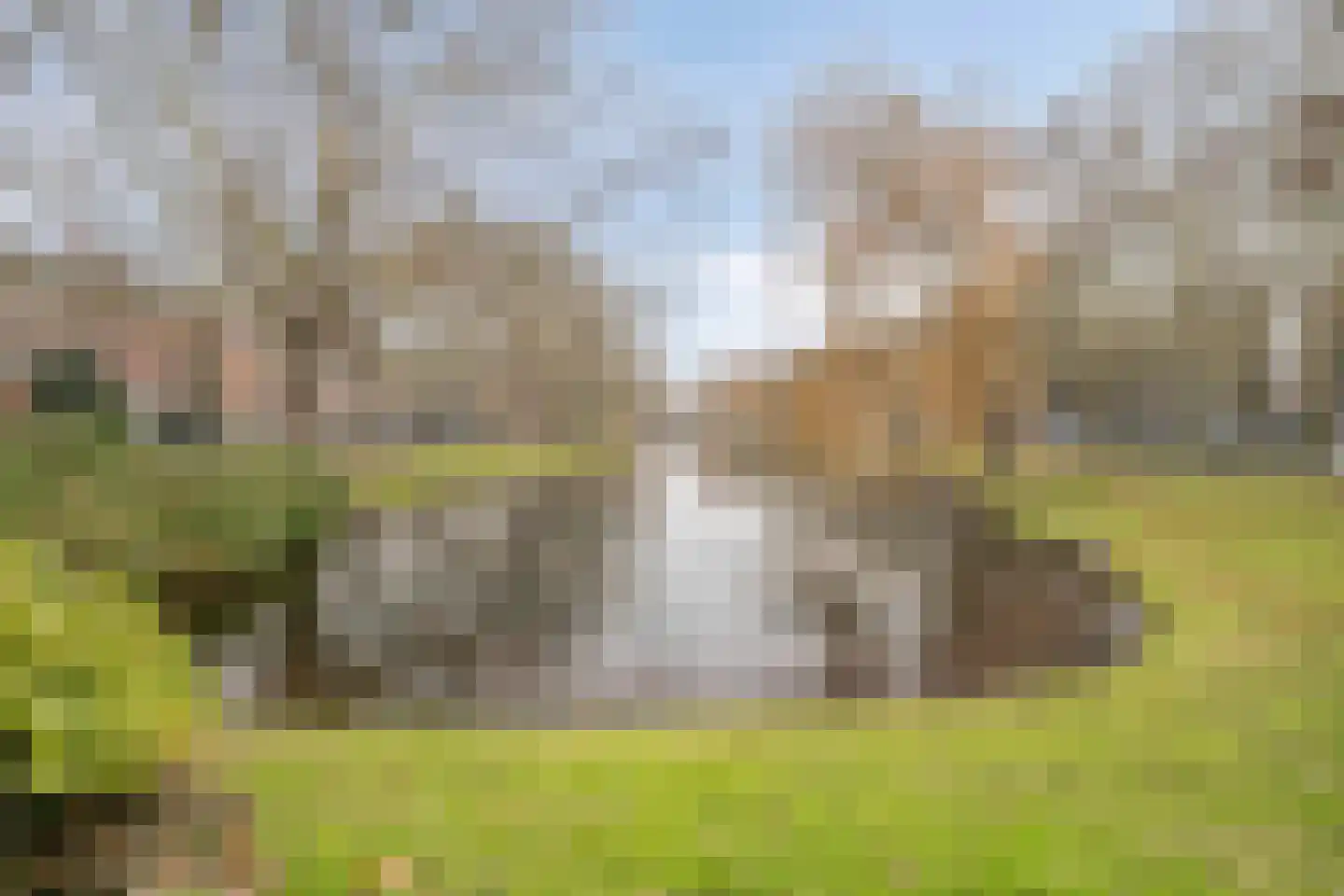 1e Middellandstraat 59 B 02 Rotterdam thumbnail 44