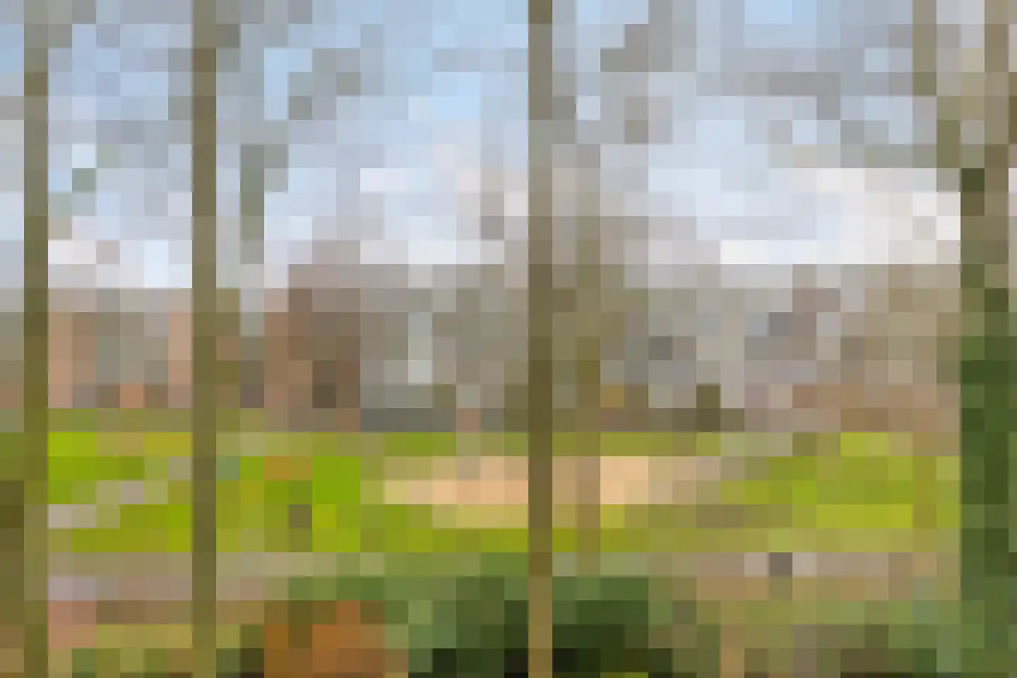 1e Middellandstraat 63 A Rotterdam thumbnail 33