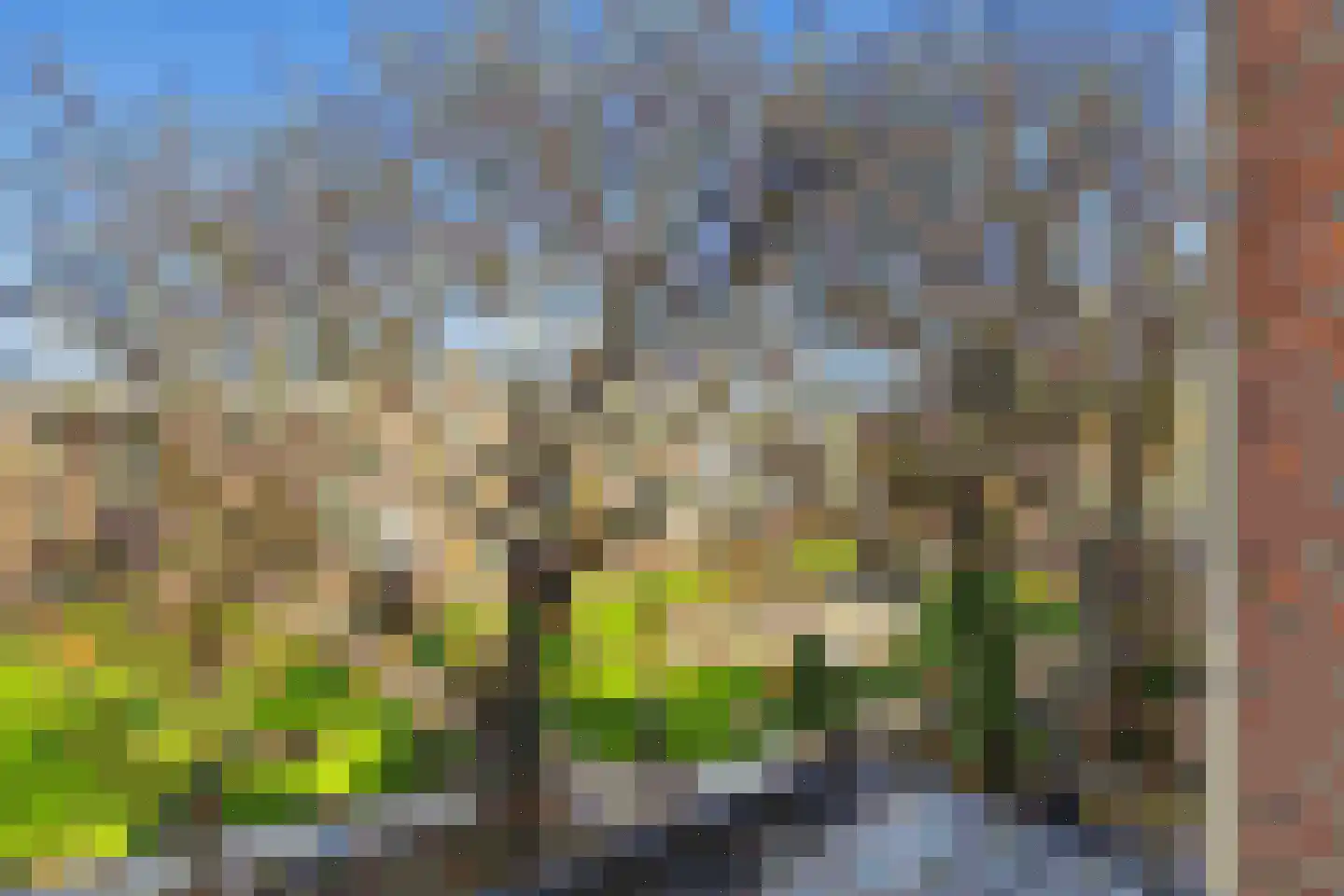1e Middellandstraat 75 B 02 Rotterdam thumbnail 30