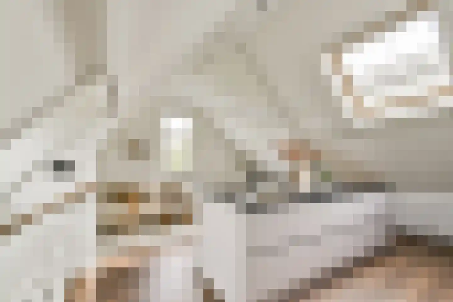 1e Middellandstraat 75 B 03 Rotterdam thumbnail 6