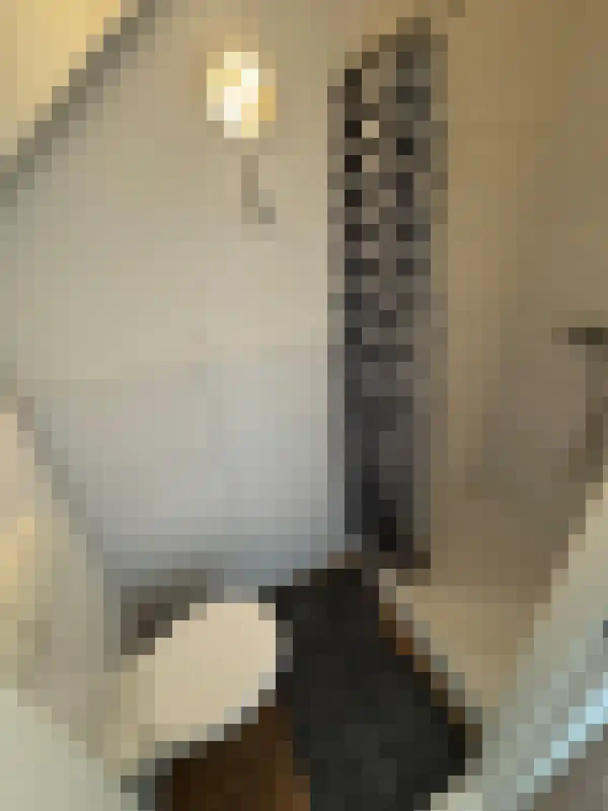 1e Middellandstraat 85 Rotterdam thumbnail 6