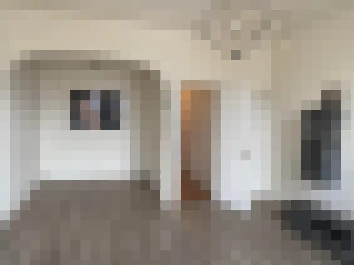 1e Middellandstraat 86 Rotterdam thumbnail 5