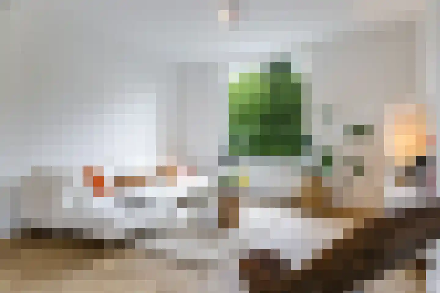 1e Molenbergstraat 11 Elst thumbnail 13