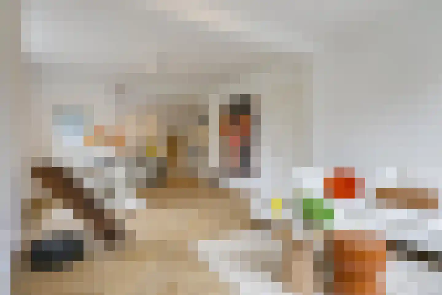 1e Molenbergstraat 11 Elst thumbnail 15