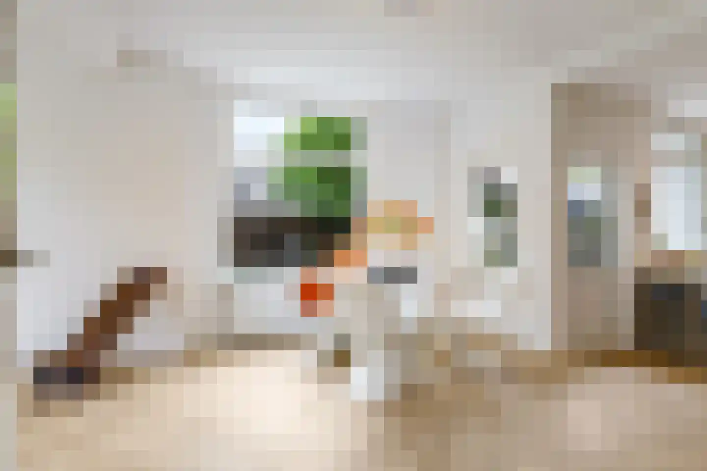 1e Molenbergstraat 11 Elst thumbnail 18
