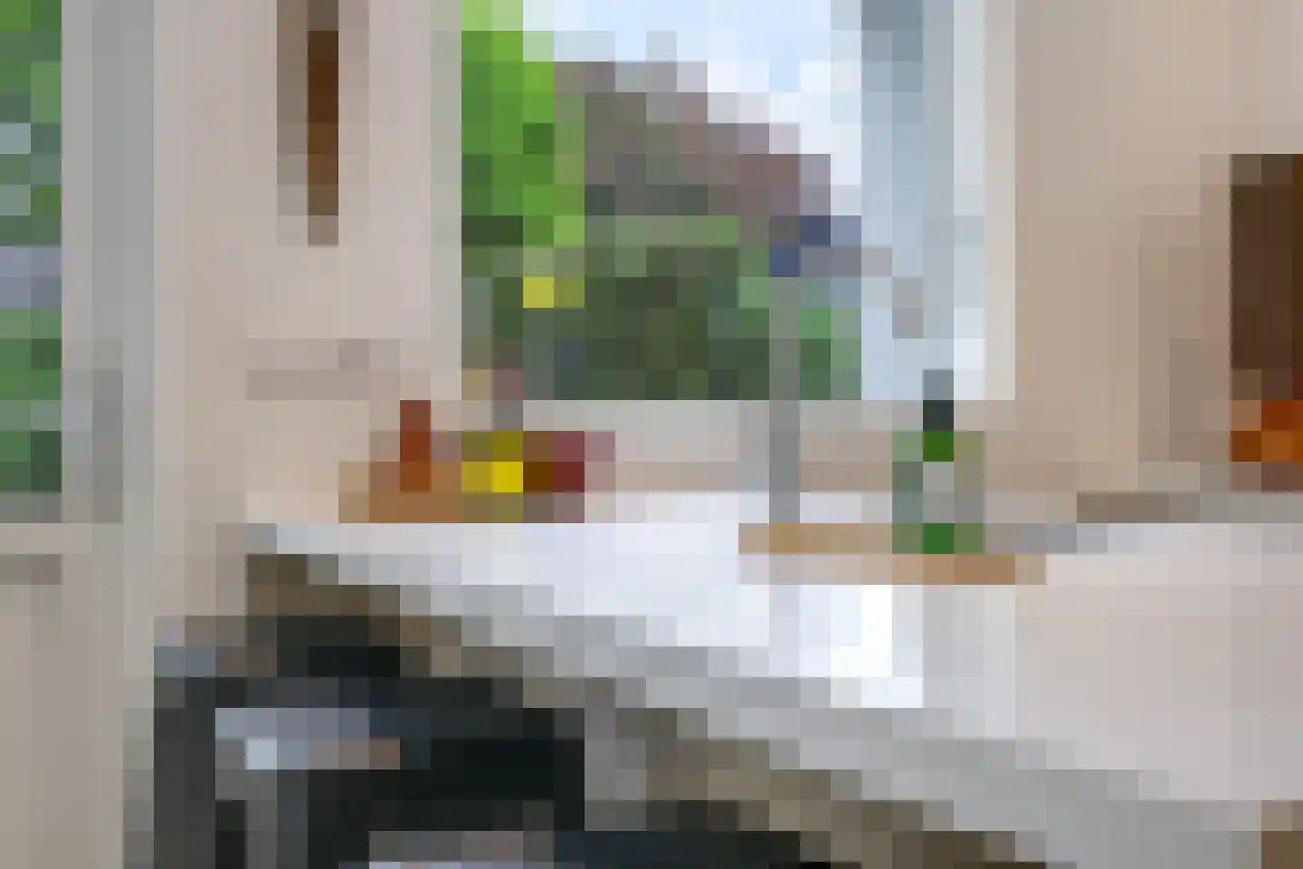 1e Molenbergstraat 11 Elst thumbnail 25